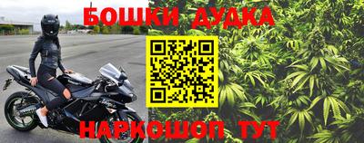мдпв Будённовск
