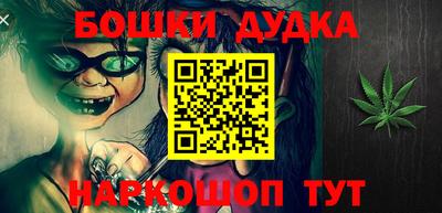 мдпв Будённовск