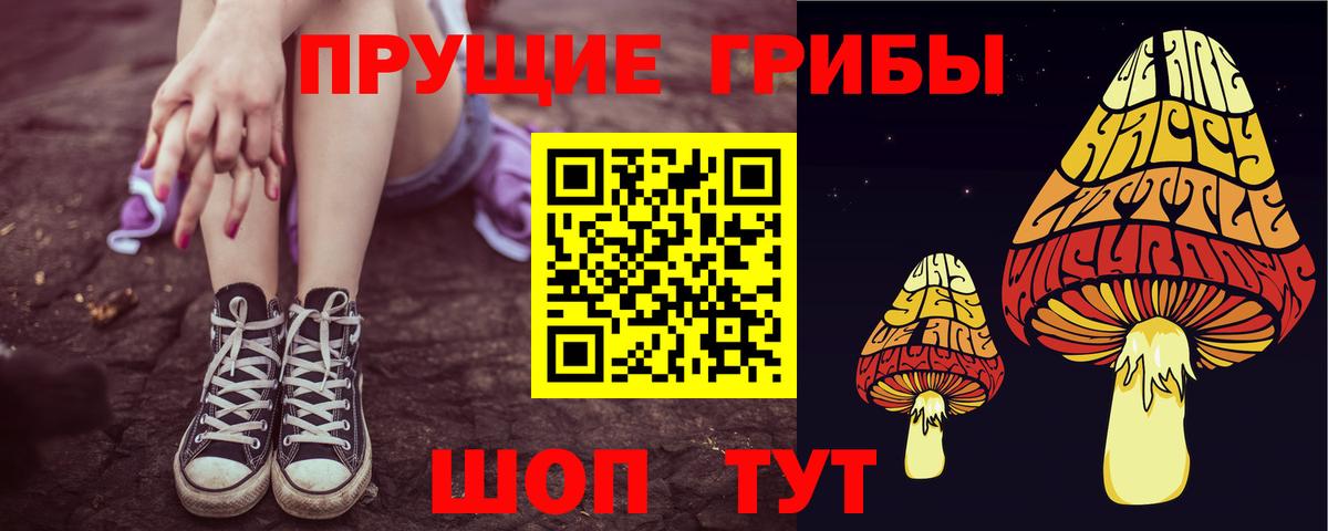 Рязань  Псилоцибиновые грибы GOLDEN TEACHER  Вход с VPN 